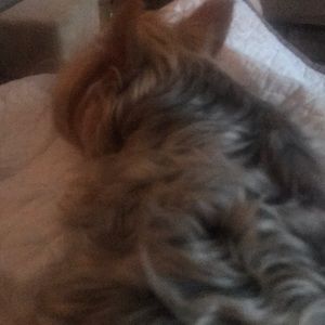 Meet your Posher, Stacy